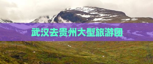 武汉去贵州大型旅游团