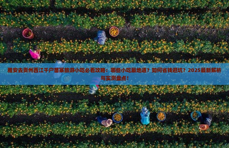 雅安去贵州西江千户苗寨旅游小吃