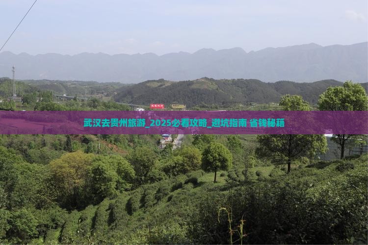 武汉去贵州旅游