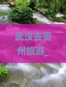 武汉去贵州旅游