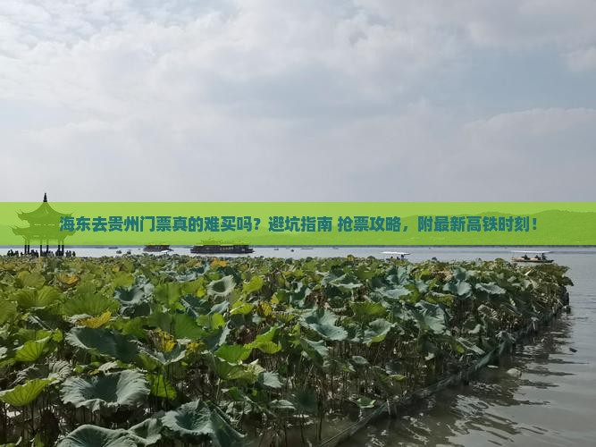 海东去贵州门票