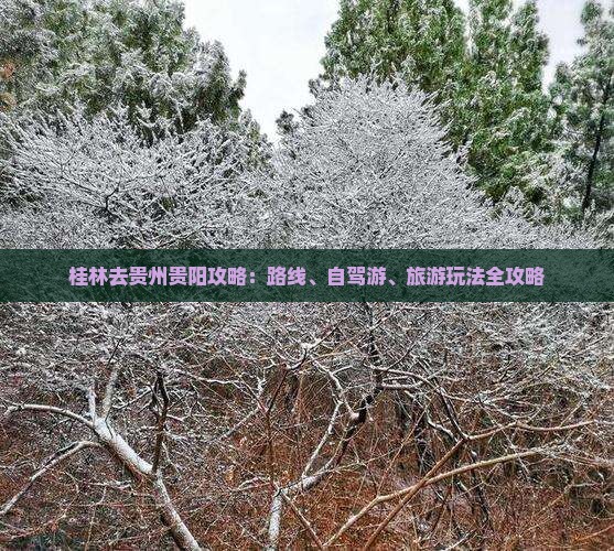 桂林去贵州贵阳攻略