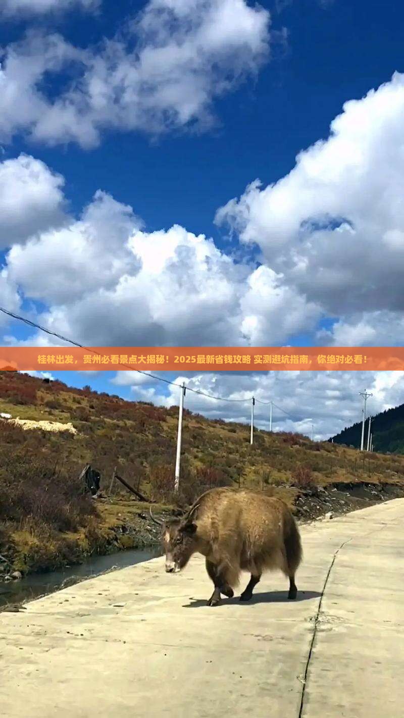 桂林去贵州景点
