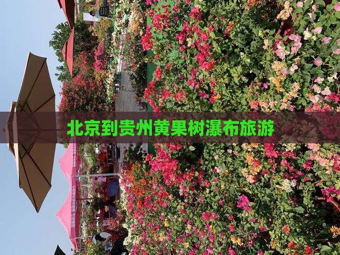 北京到贵州黄果树瀑布景点
