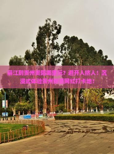 丽江到贵州贵阳哪里玩