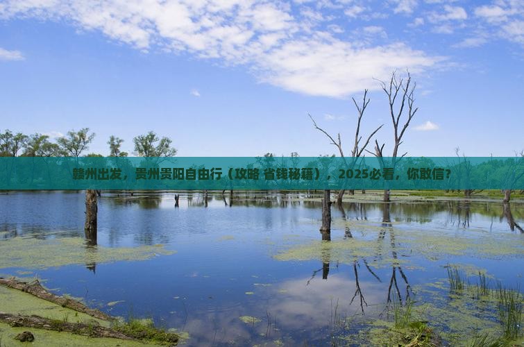 赣州去贵州贵阳自由团