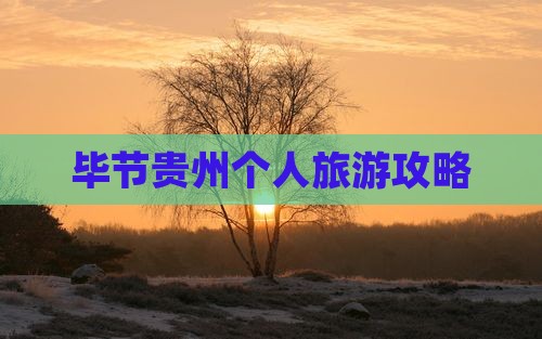 毕节去贵州个人游