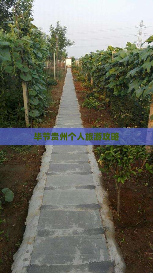 毕节去贵州个人游