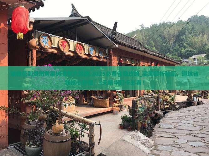 攀枝花到贵州黄果树瀑布六日游