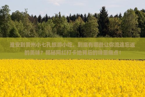 淮安到贵州小七孔旅游小吃