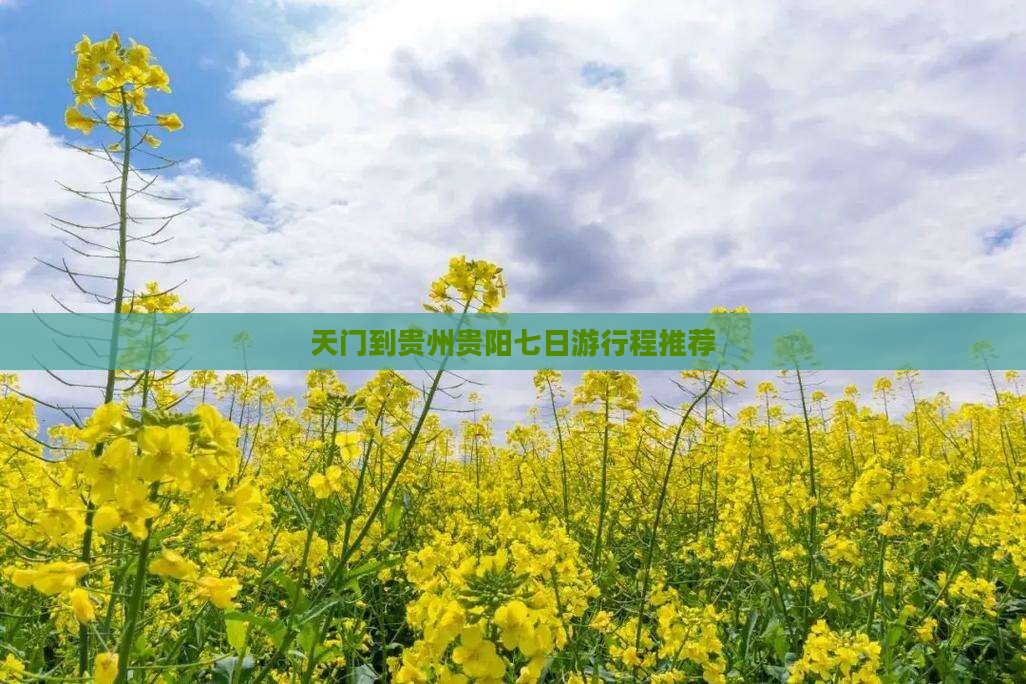 天门到贵州贵阳七日游行程推荐