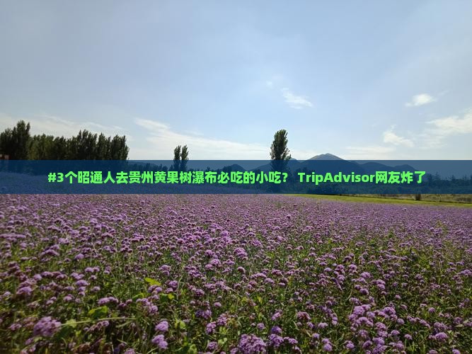 昭通到贵州黄果树瀑布旅游小吃