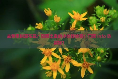 昆明去贵州黄果树瀑布门票