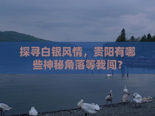 白银去贵州贵阳必去地 白银去贵州贵阳必去地