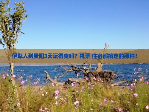 伊犁哈萨克到贵州贵阳三日游
