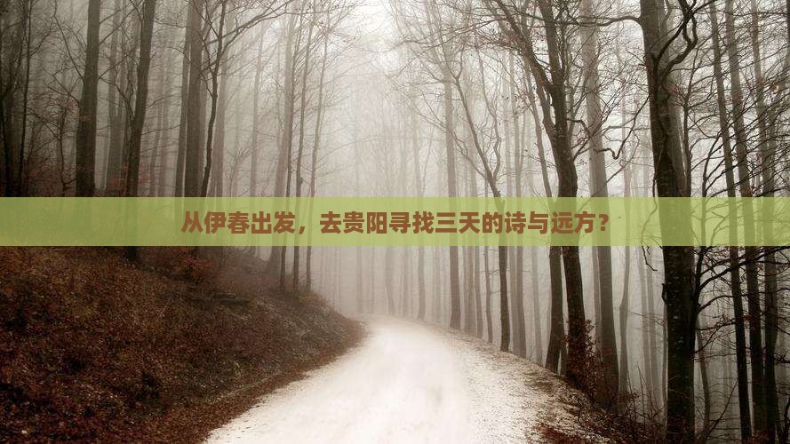 伊春去贵州贵阳三日游