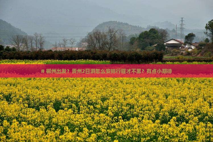 郴州到贵州二日游