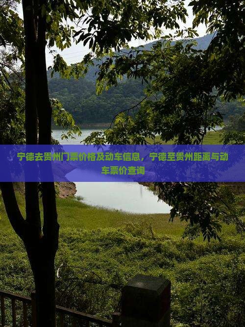 宁德去贵州门票 宁德去贵州门票