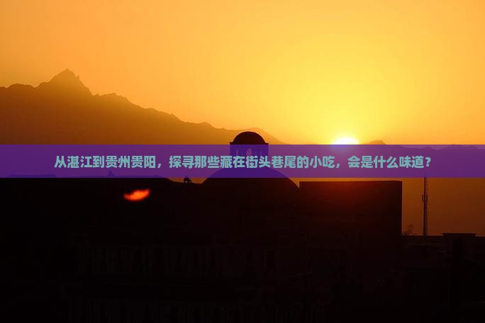 湛江去贵州贵阳旅游小吃