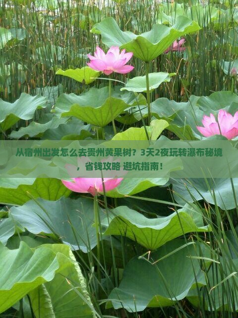 宿州到贵州黄果树瀑布景点