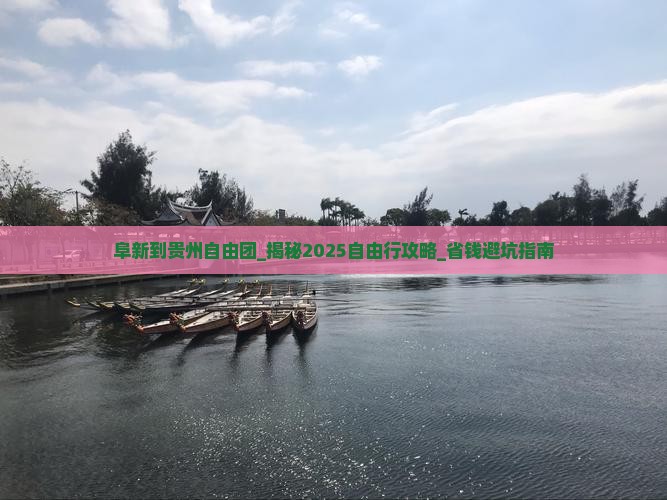 阜新到贵州自由团