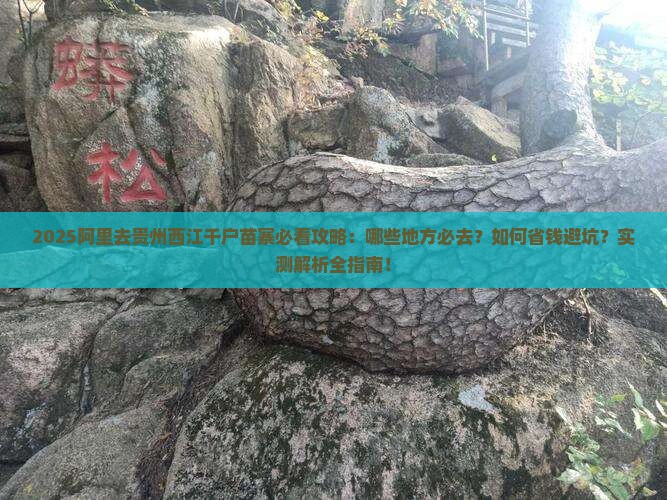 阿里去贵州西江千户苗寨必去地