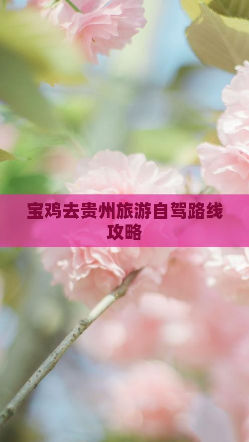 宝鸡去贵州旅游