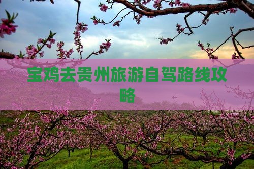 宝鸡去贵州旅游