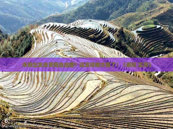 永新到贵州贵阳自由团