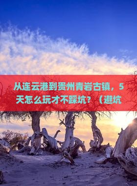 连云港到贵州青岩古镇个人游