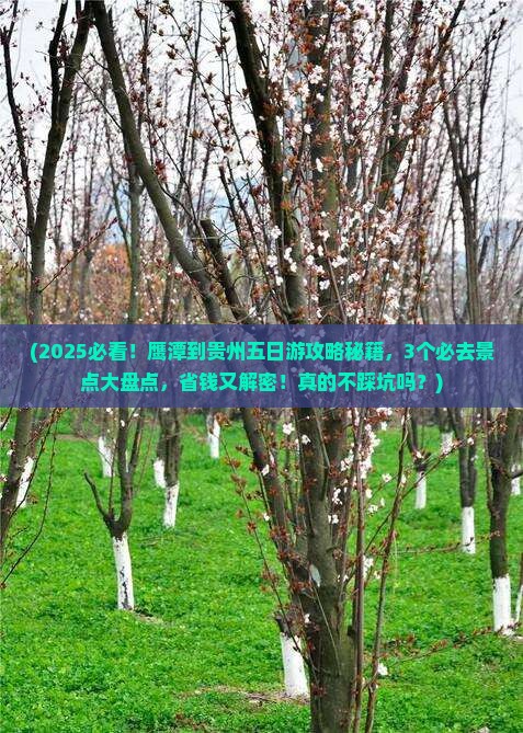 鹰潭到贵州五日游