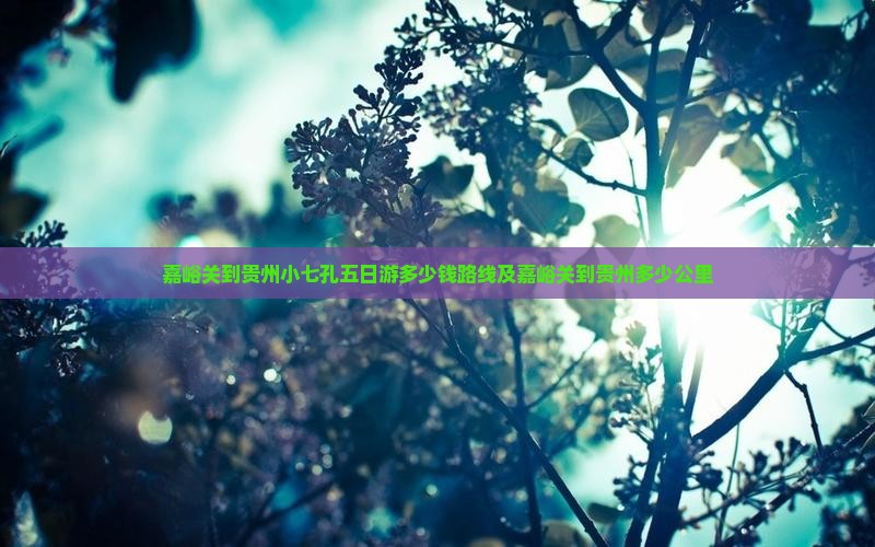 嘉峪关到贵州小七孔五日游