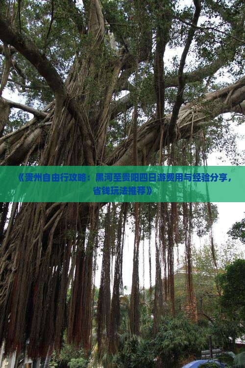 《贵州自由行攻略：黑河至贵阳四日游费用与经验分享，省钱玩法推荐》