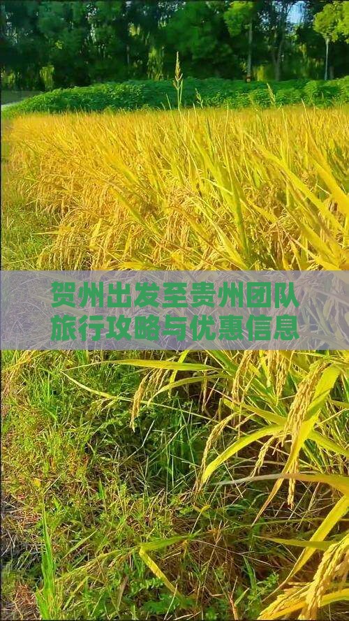 贺州出发至贵州团队旅行攻略与优惠信息汇总