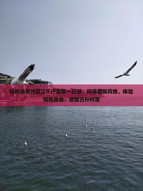 抚州去贵州西江千户苗寨一日游：探寻苗族风情、体验特色美食、感受古朴村落