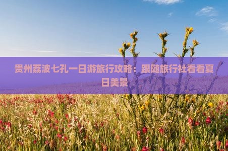 贵州荔波七孔一日游旅行攻略：跟随旅行社看看夏日美景