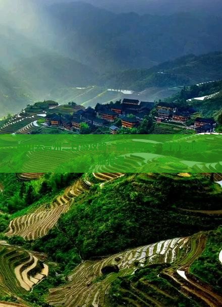 中山去贵州二日游
