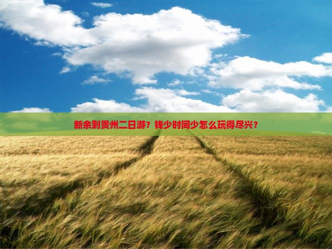 新余到贵州二日游