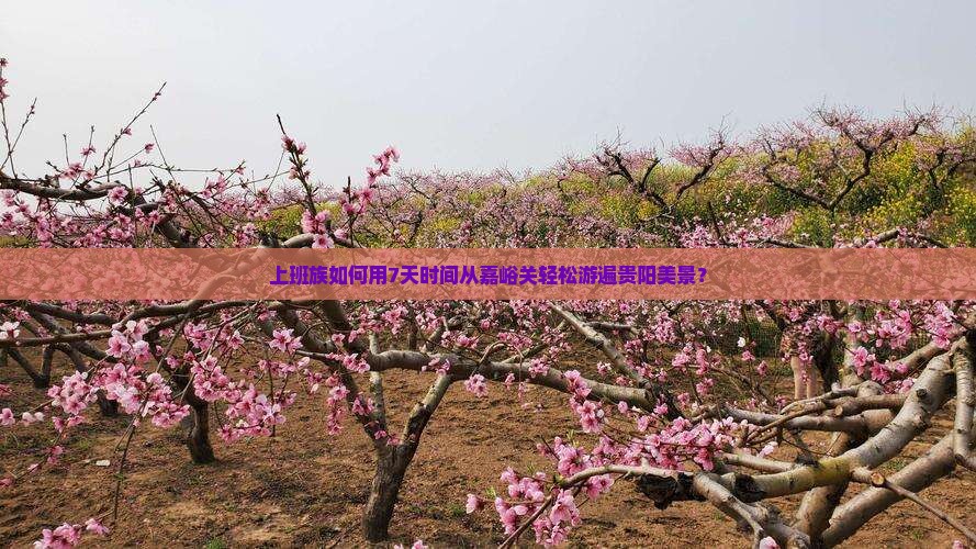 嘉峪关去贵州贵阳个人游