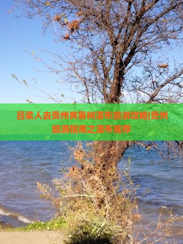 吕梁去贵州黄果树瀑布个人游