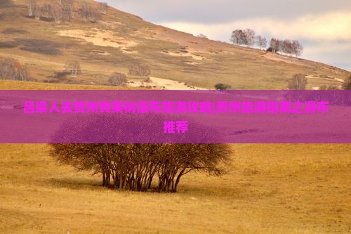 吕梁去贵州黄果树瀑布个人游