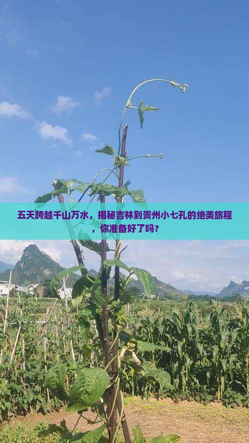 吉林去贵州小七孔五日游 吉林去贵州小七孔五日游