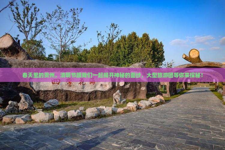 清明节到贵州大型旅游团