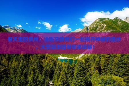 清明节到贵州大型旅游团
