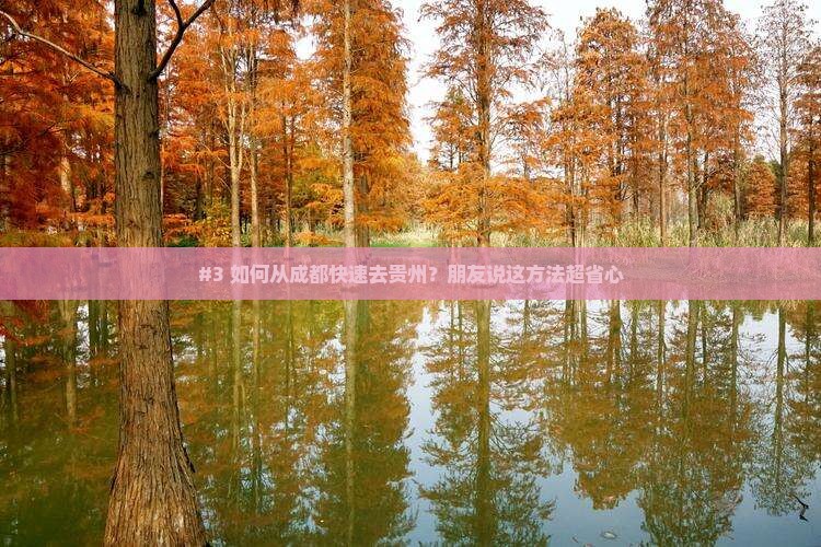 成都去贵州一日