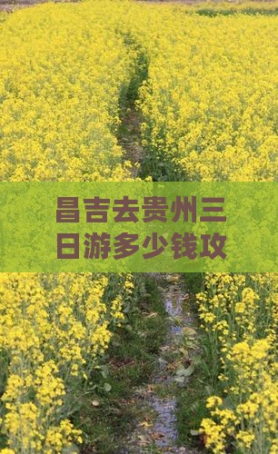 昌吉去贵州三日游