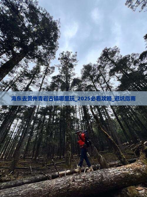 海东去贵州青岩古镇哪里玩