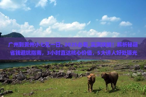 广州到贵州小七孔一日