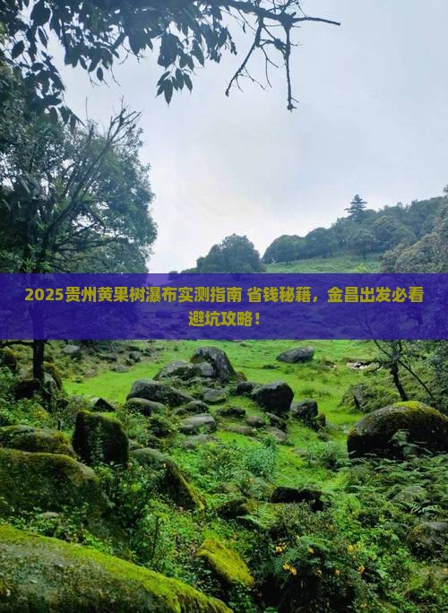 金昌去贵州黄果树瀑布个人游