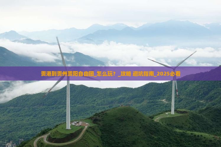 贵港到贵州贵阳自由团